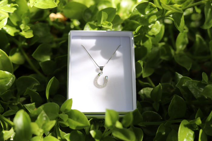 Lucky Horseshoe Gifts