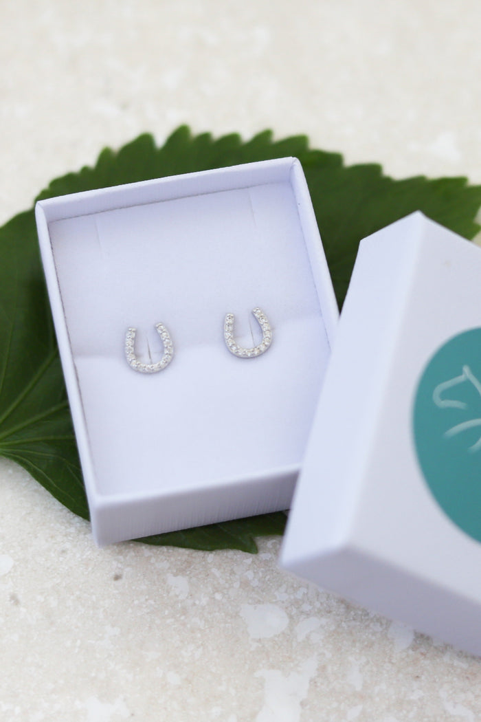 Sterling Silver Earrings