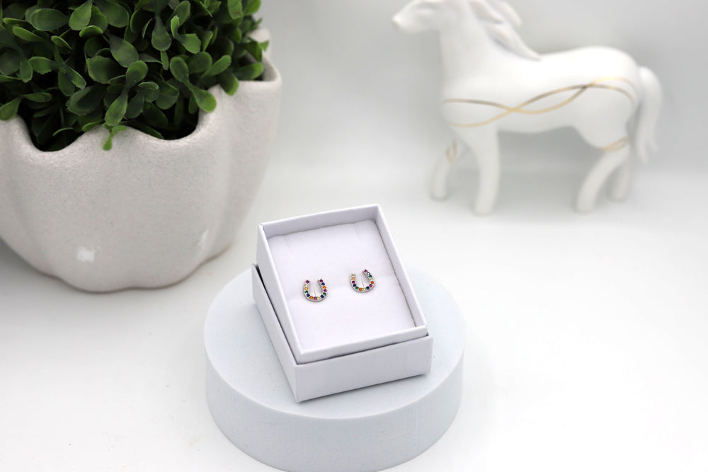 Sterling silver horseshoe earstuds decorated with colourful CZ simulated diamonds displayed in a white jewellery box