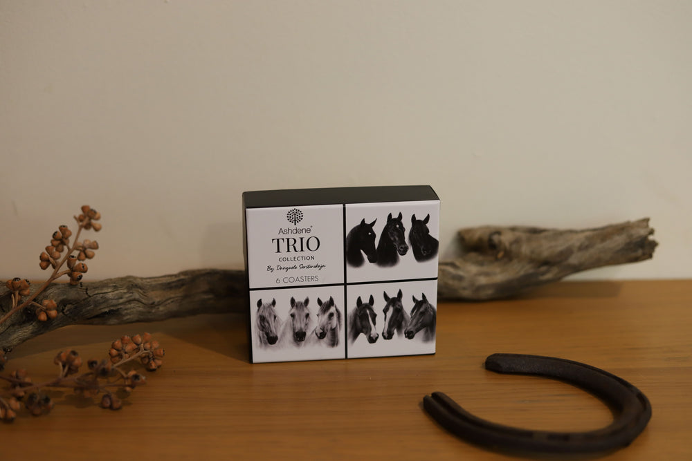 A set of 6 equestrian-themed coasters from the 'Trio Collection' with horse illustrations, displayed in a box on a wooden surface alongside decorative items.