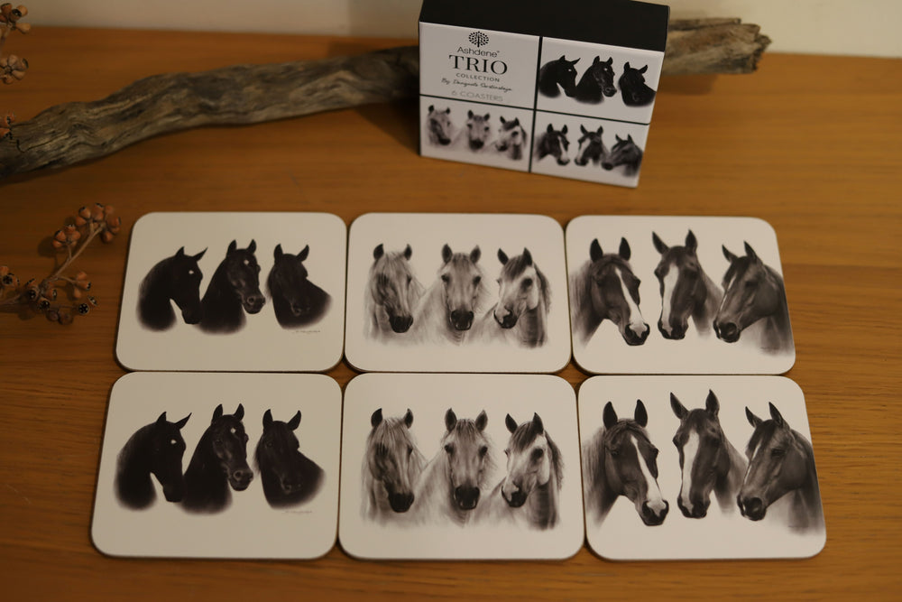 A coaster set of 6 from the Trio collection - black, grey and chestnut horses are on the coasters, a great horse lover gift