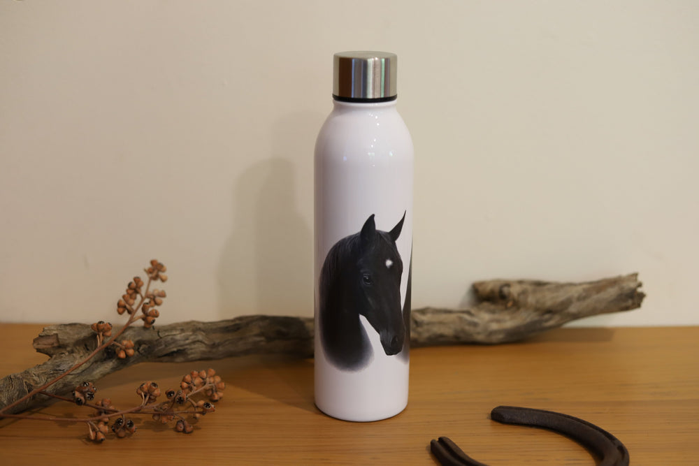 'Trio Collection' Water Bottle - Black Horse
