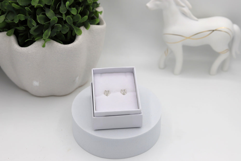 A pair of sterling silver horseshoe push back earrings displayed in a jewellery box